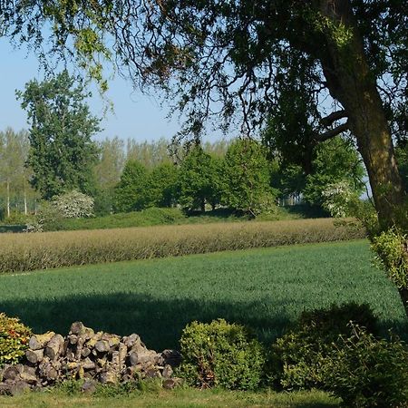 Vakantiewoning Het Olietunnetje Ovezande Eksteriør billede